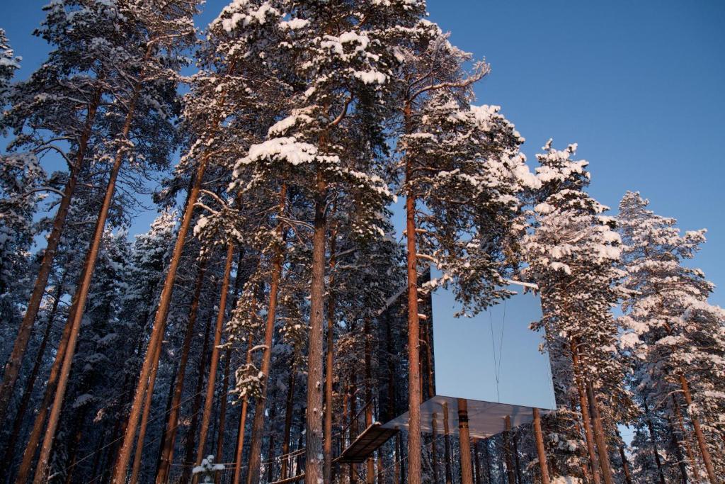 האראדס Treehotel חדר תמונה